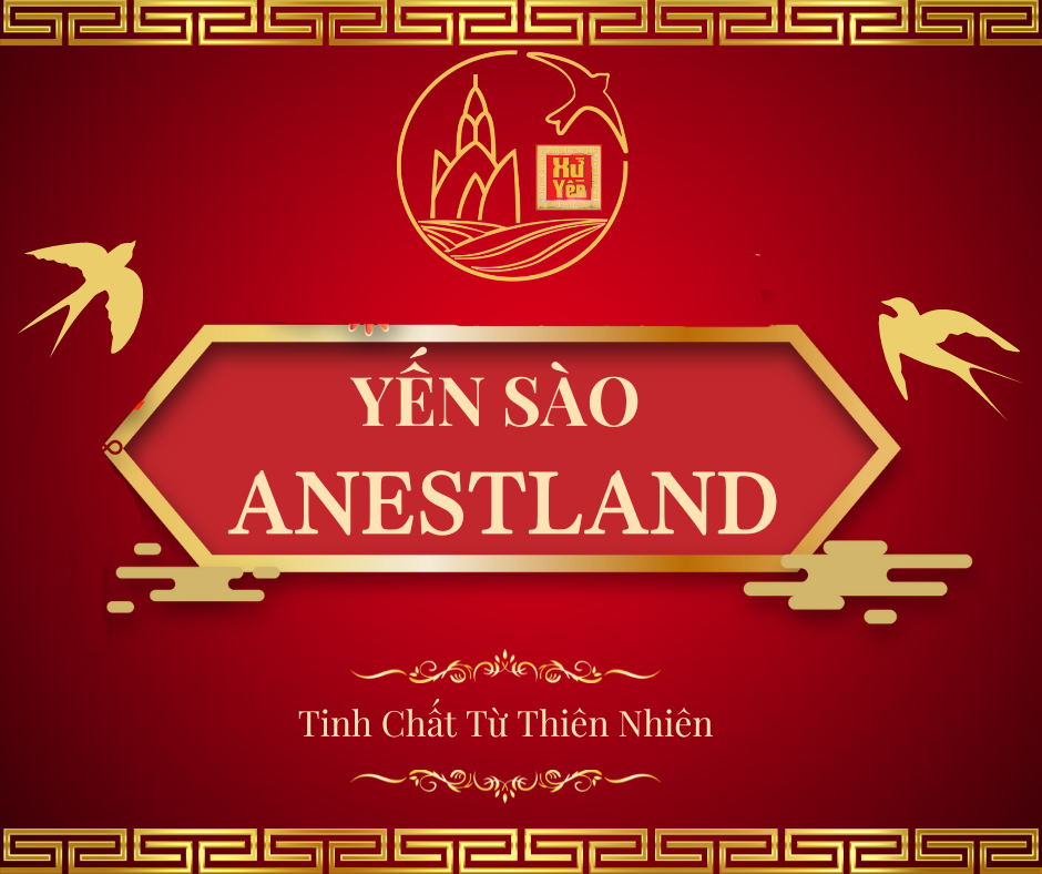 Yến Sào ANestLand